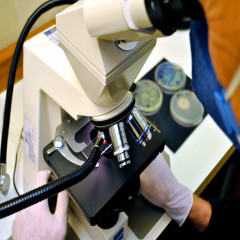 Laboratório de Microbiologia