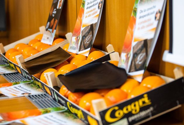 Empresa espanhola cria têxtil alternativo ao couro feito de excedentes da fruta caqui