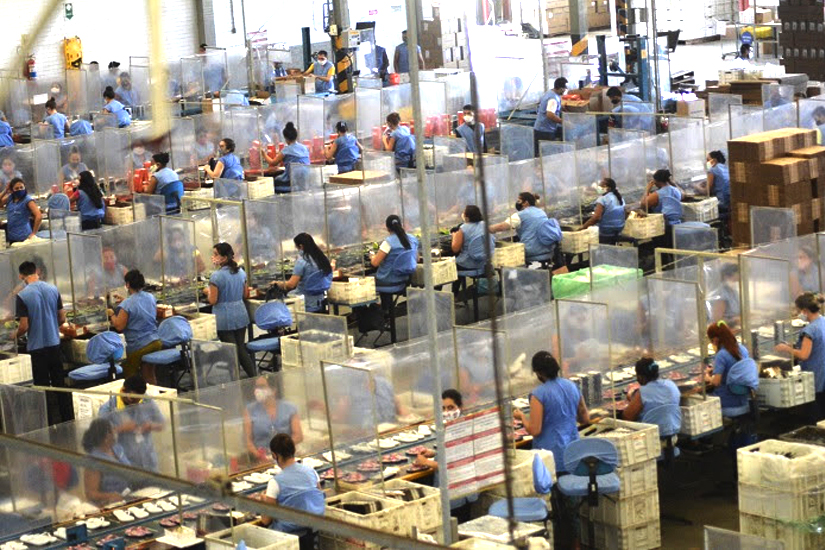 Setor calçadista já gerou 13 mil vagas em 2022