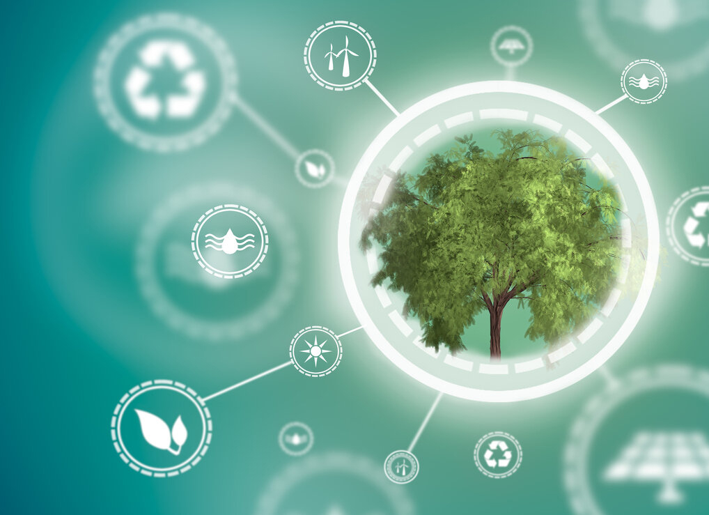 Assintecal e Covestro lançam Trilha da Sustentabilidade