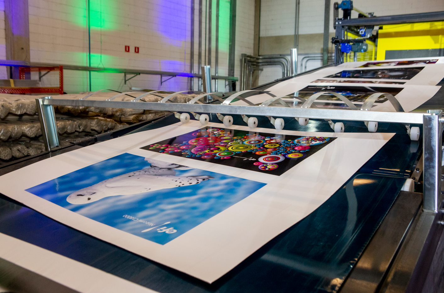 Setor de embalagens de papelão aposta em ano promissor